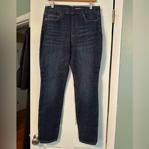 Size 10 Lands End High Rise Pull On Skinny Jean